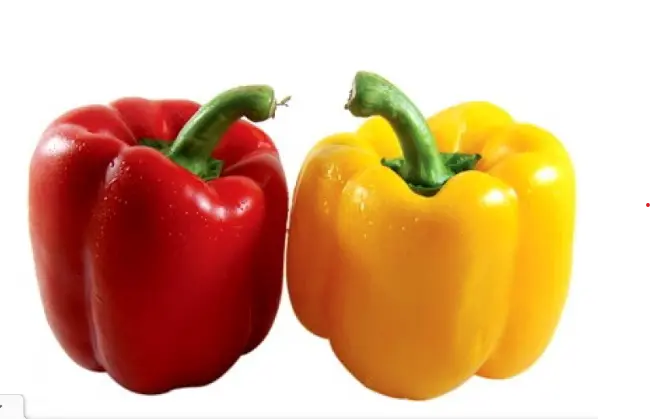 Yellow & Red Capsicum