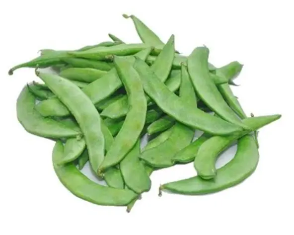 Papdi