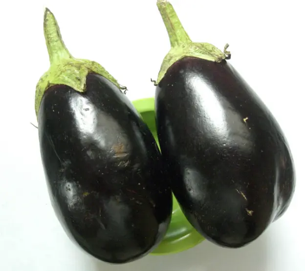 Bhathha (Mota Ringana)