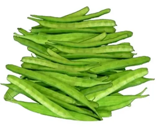 Guvar