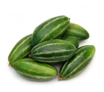 Parvar