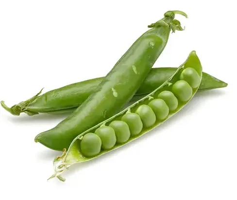 Vatona