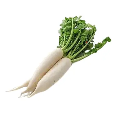 Mula