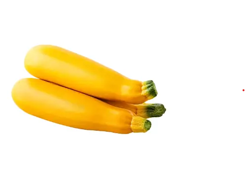 Yellow Zucchini 
