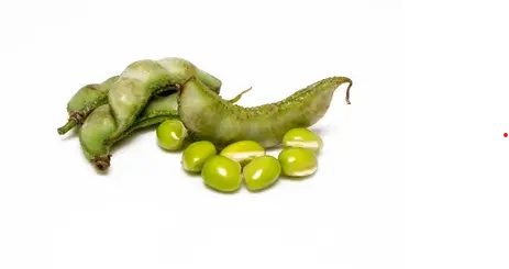 Surti Papdi (Dana wali)