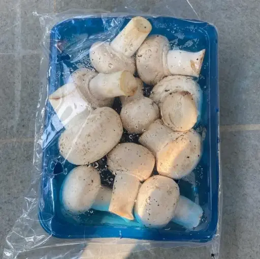 Mushroom (packet)